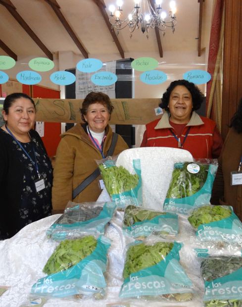 ASHVAL –  With support from EnDev, ASHVAL producers now use shared electric bag sealers for their hydroponic lettuce. Sealing time was cut in half, packaging quality improved, and the group developed a unified brand – all through cooperation and smart technology.